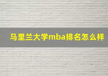 马里兰大学mba排名怎么样