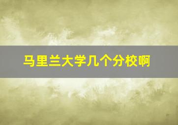 马里兰大学几个分校啊