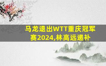 马龙退出WTT重庆冠军赛2024,林高远递补