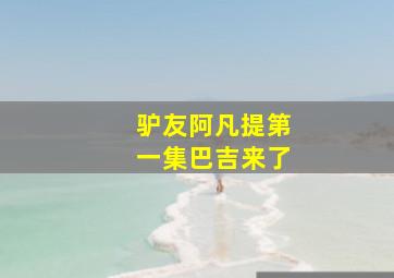 驴友阿凡提第一集巴吉来了