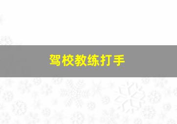 驾校教练打手