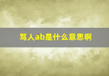 骂人ab是什么意思啊