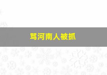 骂河南人被抓