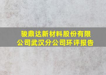 骏鼎达新材料股份有限公司武汉分公司环评报告