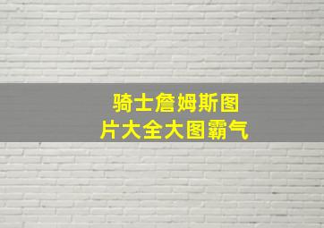 骑士詹姆斯图片大全大图霸气