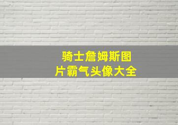 骑士詹姆斯图片霸气头像大全