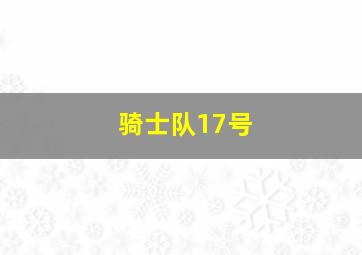 骑士队17号