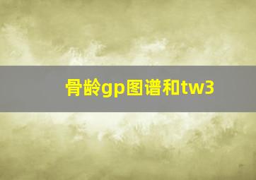 骨龄gp图谱和tw3