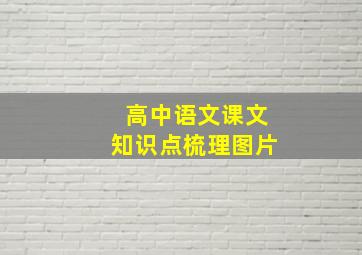 高中语文课文知识点梳理图片