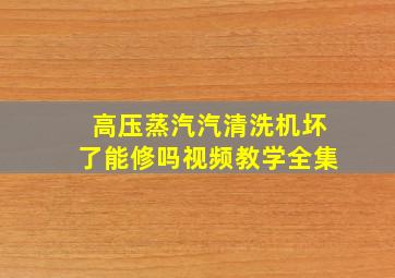 高压蒸汽汽清洗机坏了能修吗视频教学全集