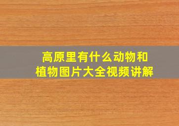 高原里有什么动物和植物图片大全视频讲解