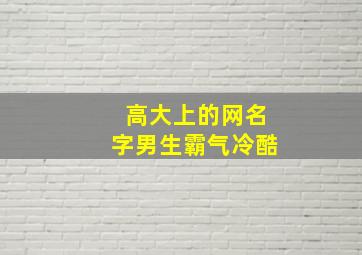 高大上的网名字男生霸气冷酷