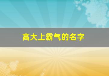 高大上霸气的名字