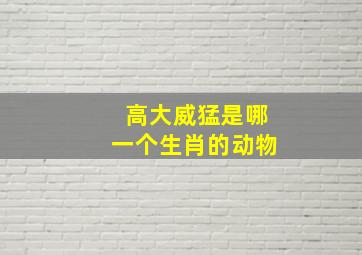 高大威猛是哪一个生肖的动物