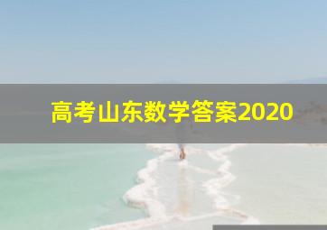 高考山东数学答案2020