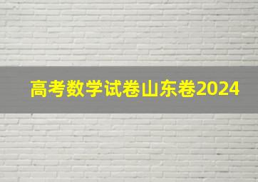 高考数学试卷山东卷2024