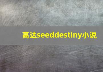 高达seeddestiny小说