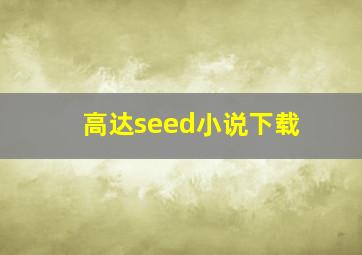 高达seed小说下载