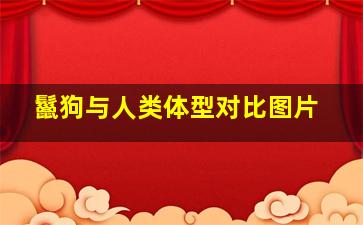 鬣狗与人类体型对比图片