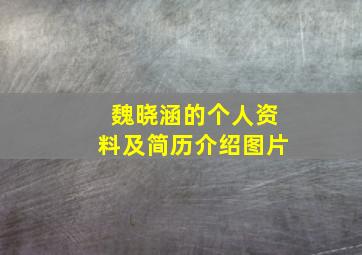 魏晓涵的个人资料及简历介绍图片