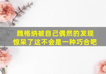 魏格纳被自己偶然的发现惊呆了这不会是一种巧合吧