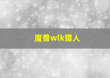 魔兽wlk猎人