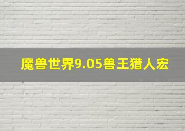 魔兽世界9.05兽王猎人宏