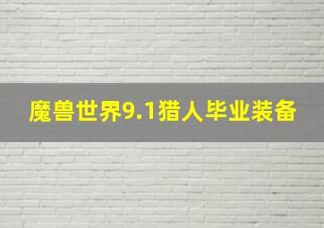 魔兽世界9.1猎人毕业装备