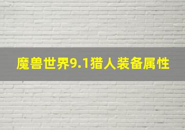 魔兽世界9.1猎人装备属性