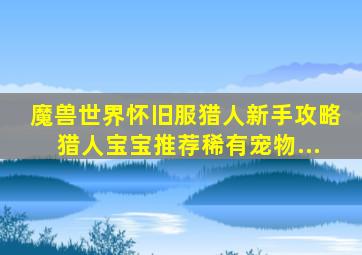 魔兽世界怀旧服猎人新手攻略猎人宝宝推荐稀有宠物...