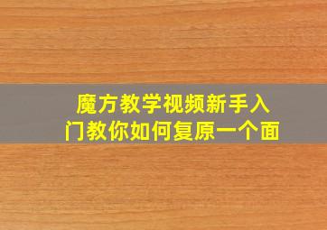 魔方教学视频新手入门教你如何复原一个面