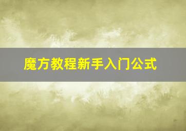 魔方教程新手入门公式