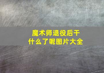 魔术师退役后干什么了呢图片大全