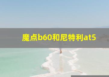 魔点b60和尼特利at5