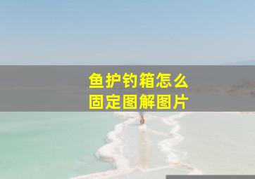 鱼护钓箱怎么固定图解图片