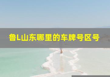 鲁L山东哪里的车牌号区号