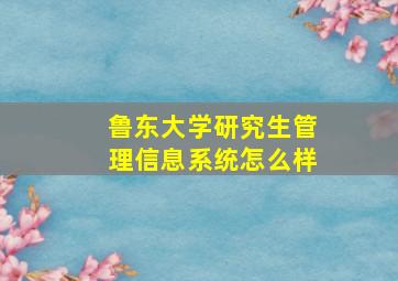 鲁东大学研究生管理信息系统怎么样