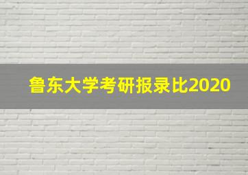 鲁东大学考研报录比2020