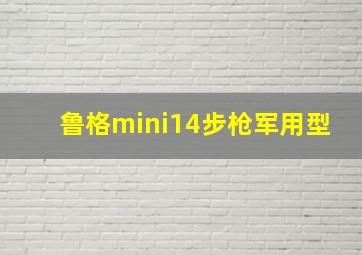 鲁格mini14步枪军用型