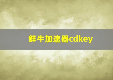 鲜牛加速器cdkey