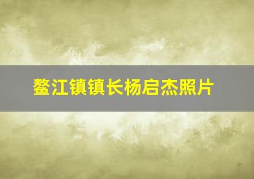 鳌江镇镇长杨启杰照片