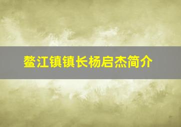 鳌江镇镇长杨启杰简介