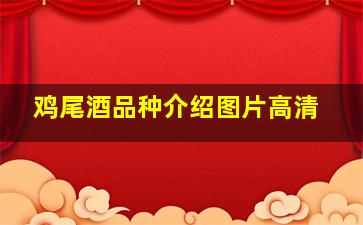 鸡尾酒品种介绍图片高清