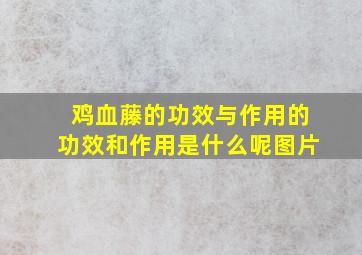 鸡血藤的功效与作用的功效和作用是什么呢图片