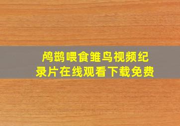 鸬鹚喂食雏鸟视频纪录片在线观看下载免费