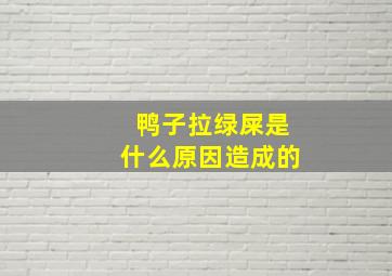 鸭子拉绿屎是什么原因造成的