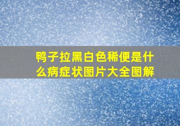 鸭子拉黑白色稀便是什么病症状图片大全图解