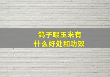 鸽子喂玉米有什么好处和功效