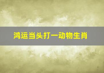 鸿运当头打一动物生肖