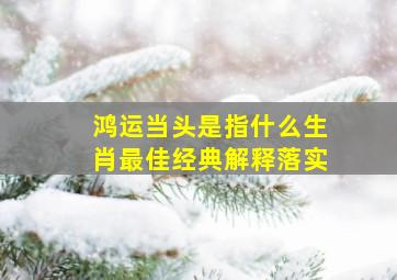 鸿运当头是指什么生肖最佳经典解释落实